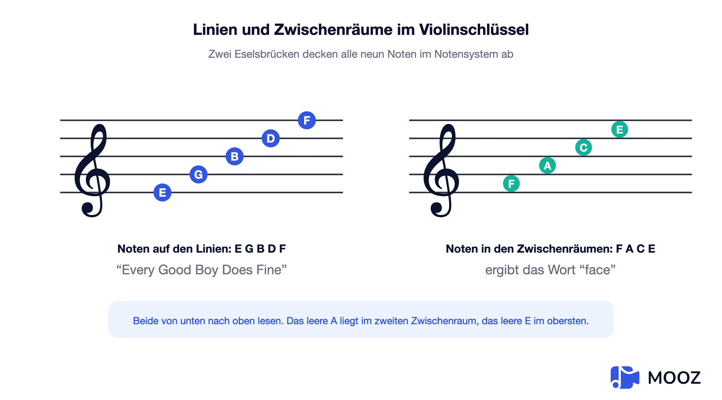 Diagramm des Violinschlüssels, das Noten auf den Linien E G B D F und Noten in den Zwischenräumen F A C E zeigt