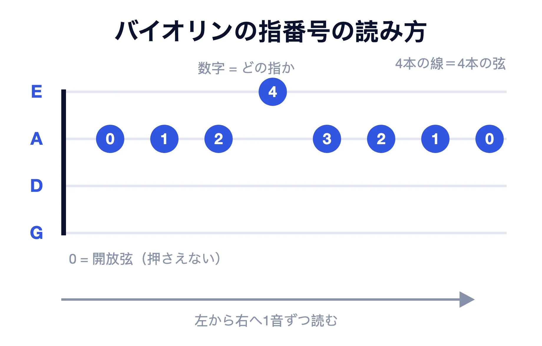 バイオリン の 数え 方