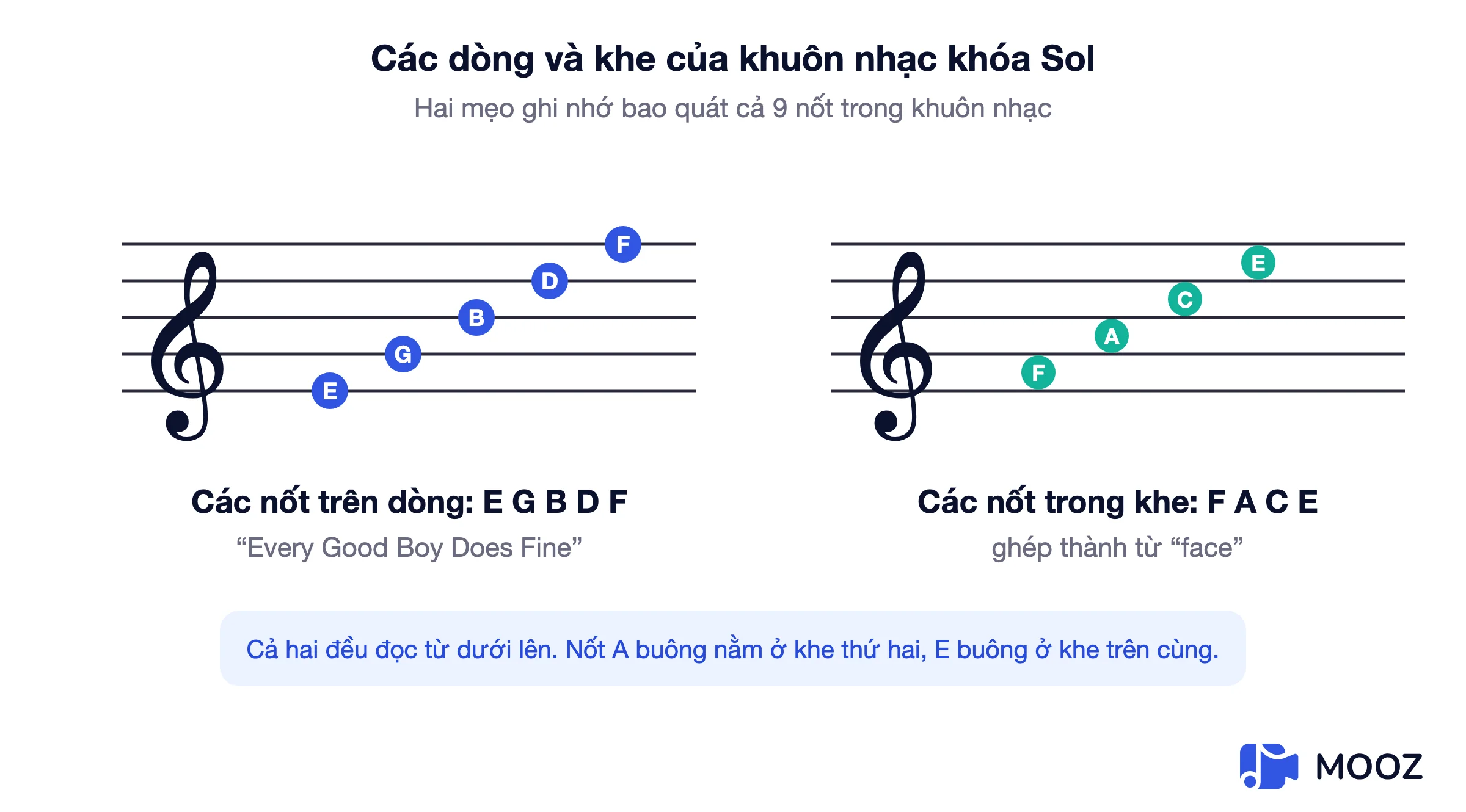 Sơ đồ khóa Sol hiển thị các nốt trên dòng E G B D F và các nốt trong khe F A C E